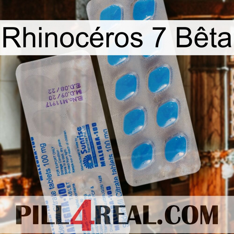 Rhinocéros 7 Bêta new15